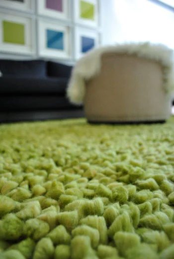 A Thick Green Shag Rug Meant for The Living Room