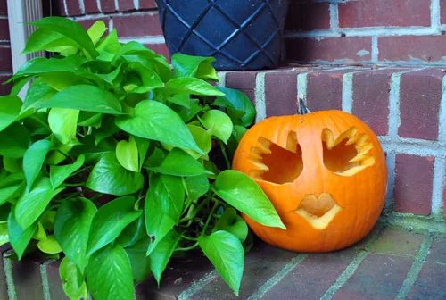 Making A Handprint Pumpkin With Baby Meant for Halloween