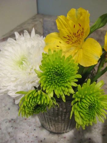 Budget Blooms: Starting The Year Off Right: a house log