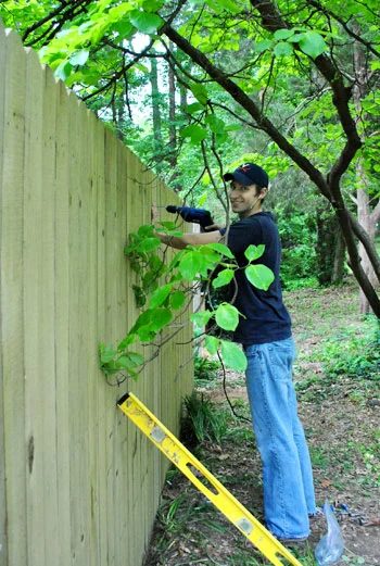 Build A Fence, step by step