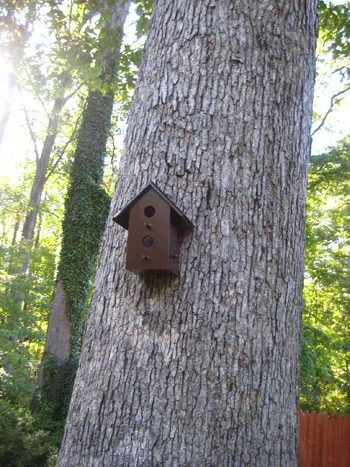 Paint And Hang A Birdhouse, step by step
