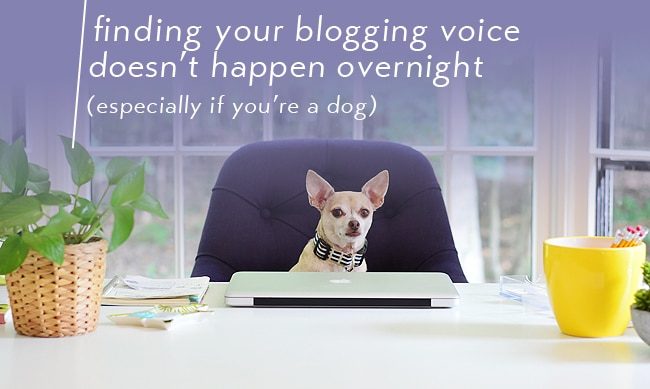 pointer for blogging - finding your blogging voice does not happen overnight