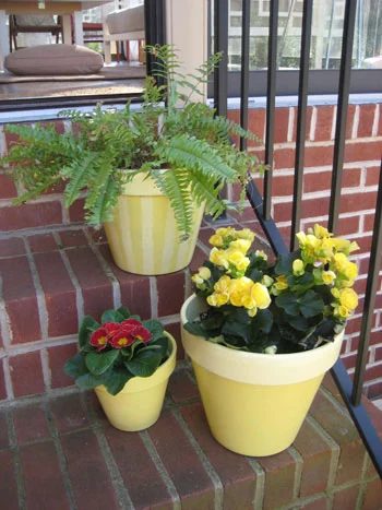 Paint Terra Cotta Pots, step by step