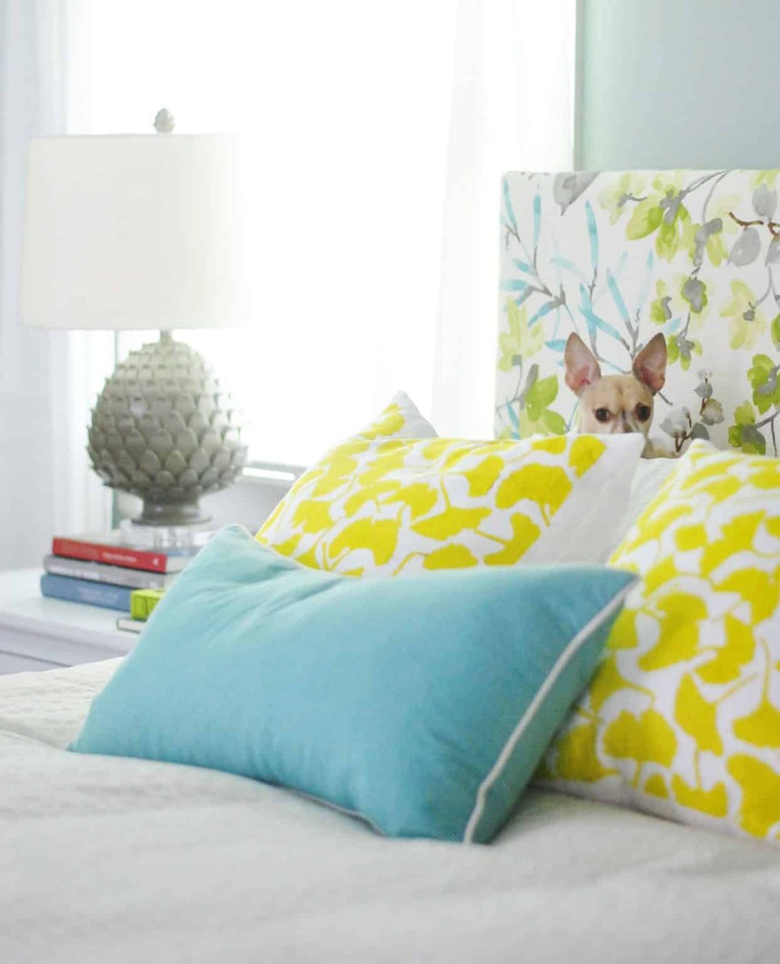 Chihuahua sitting on yellow gingko pillows against colorful upholstered Hands-on headboard