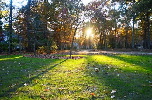 Landscaping The Front Yard: a house log
