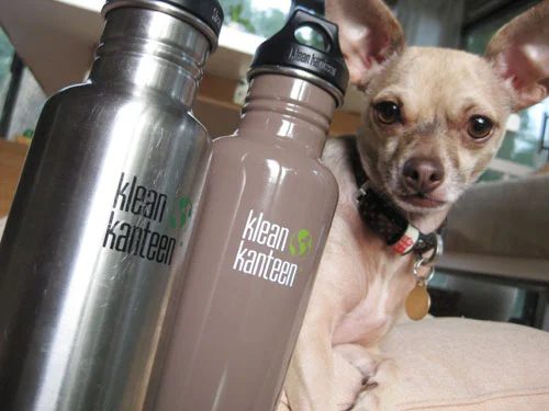 Receipts Have BPA?!: a house log