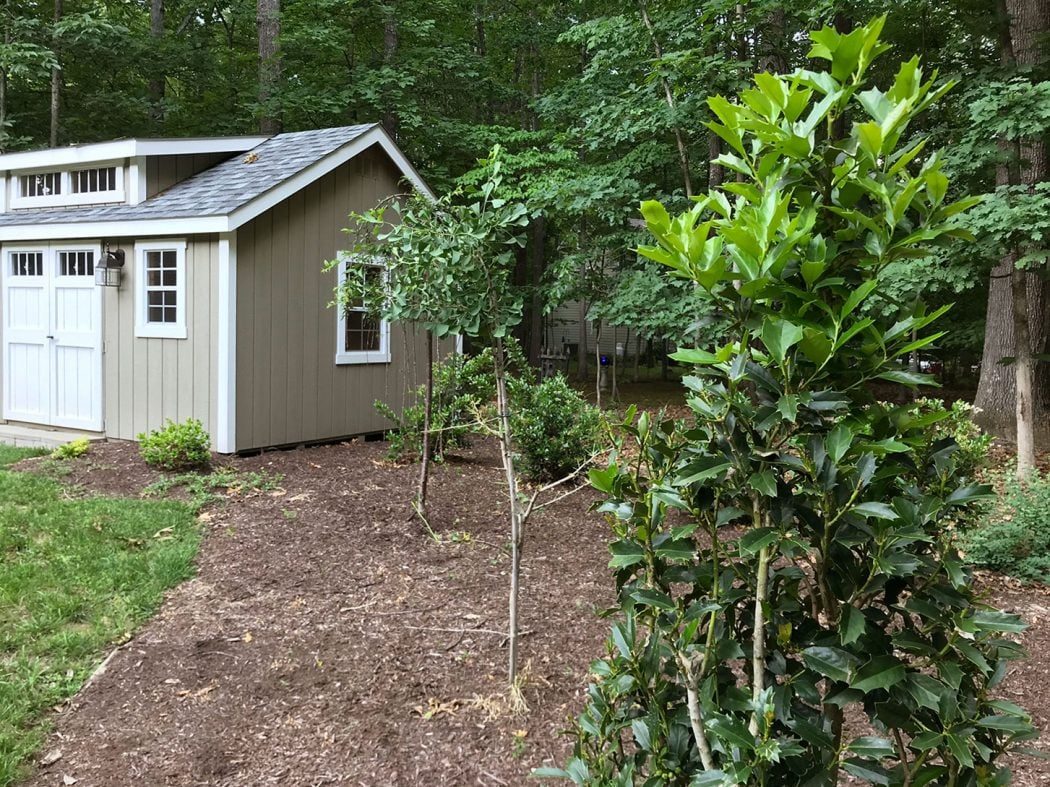 #99: The Latest (And Grossest) Home Experiment