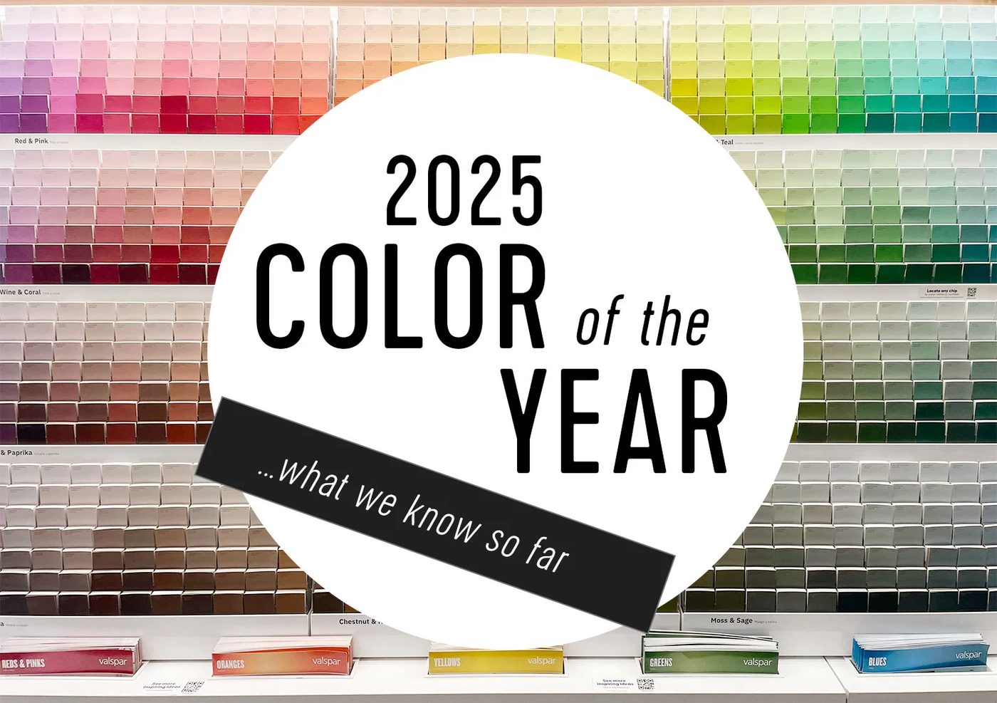 Paint of the Year 2025 What We Know So far