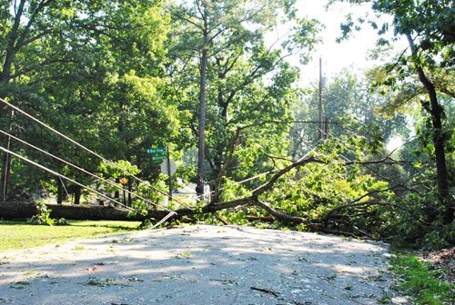 Hurricane Irene Damage: a house log