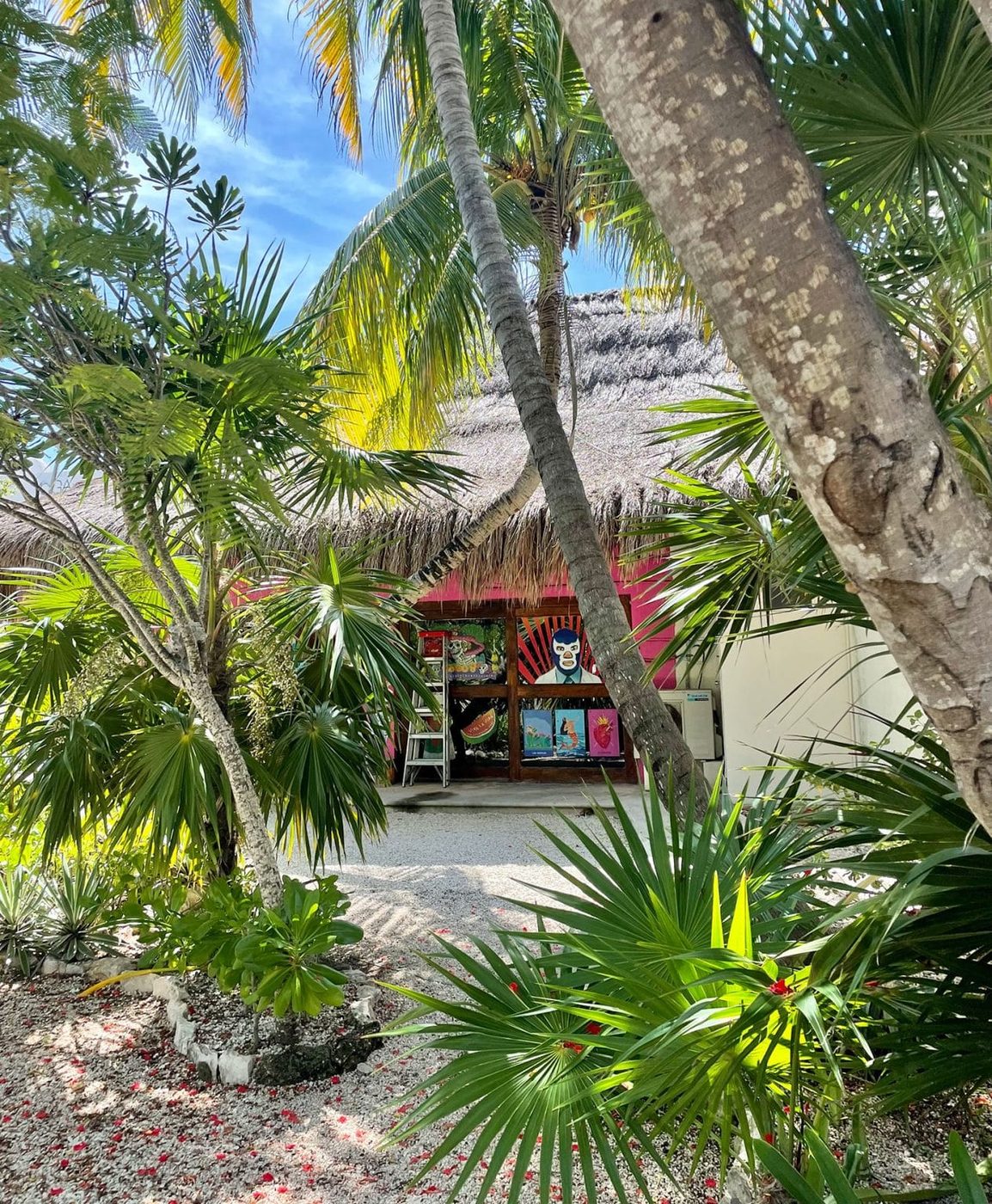 Shopping in Akumal Mexico With Plenty of Palm Trees