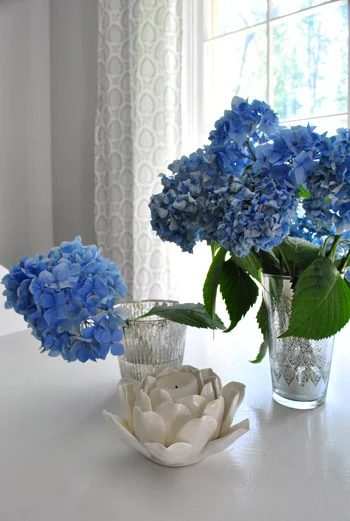 Cutting Curtain Panels To Make More Curtains: a house log