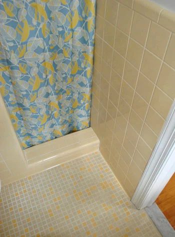 An Epic Shower Curtain Fail: a house log