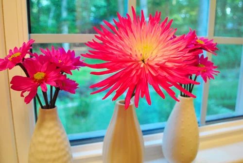 Budget Blooms: Birthday Leftovers: a house log