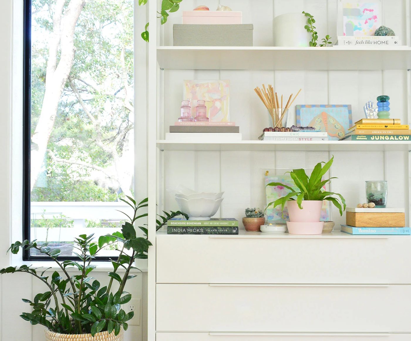 Plants On Shelf ZZ Plant Corn Plant