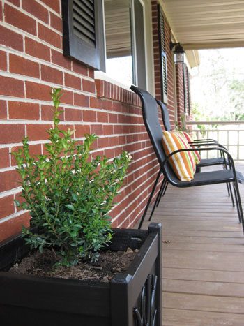 boxwood-black-square-planter-hands-on-project