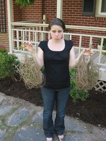 When Home Projects Go Wrong: a house log
