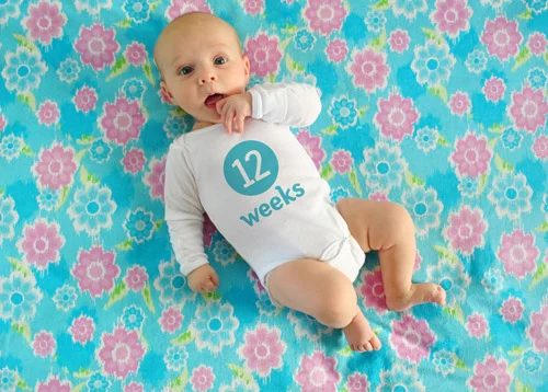 Take Weekly Baby Photos, from the workbench