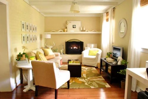 A Large Scale Print Living Room Rug: a house log