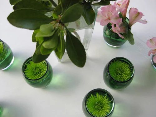 Budget Blooms: April Showers, Er, Flowers: a house log