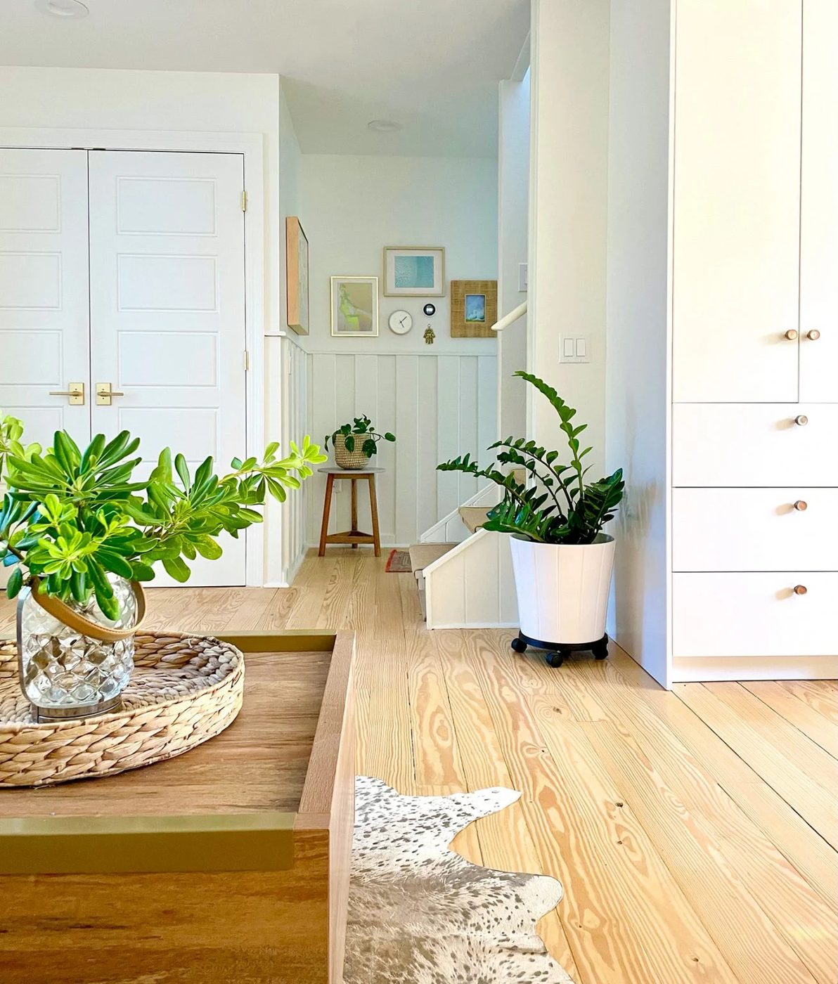 View Towards Stairs And Back Hallway Of House With Plenty Of Plants And Frames