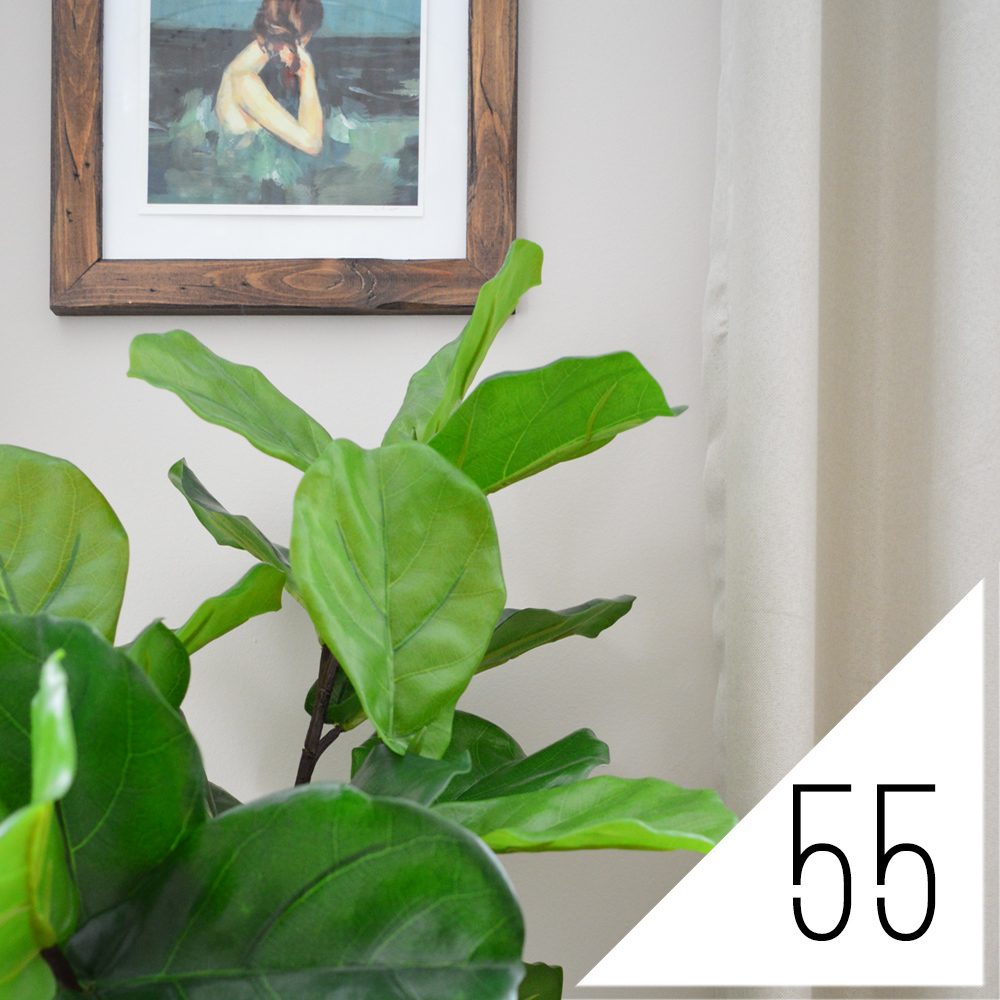 #55: What is Feng Shui? And Are We Screwing It Up?