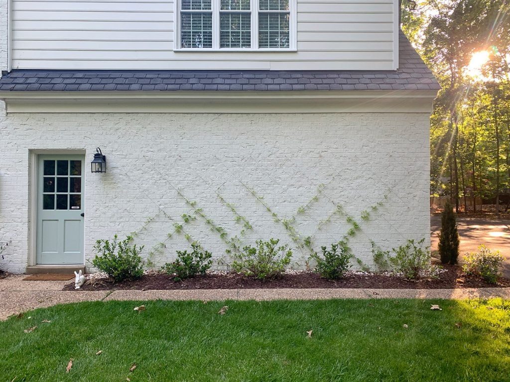 Make A Hands-on Trellis, step by step