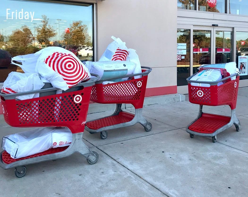 #89: A Year Without Shopping: a house log