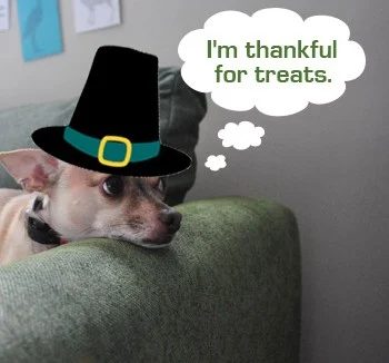 Thank You: a house log