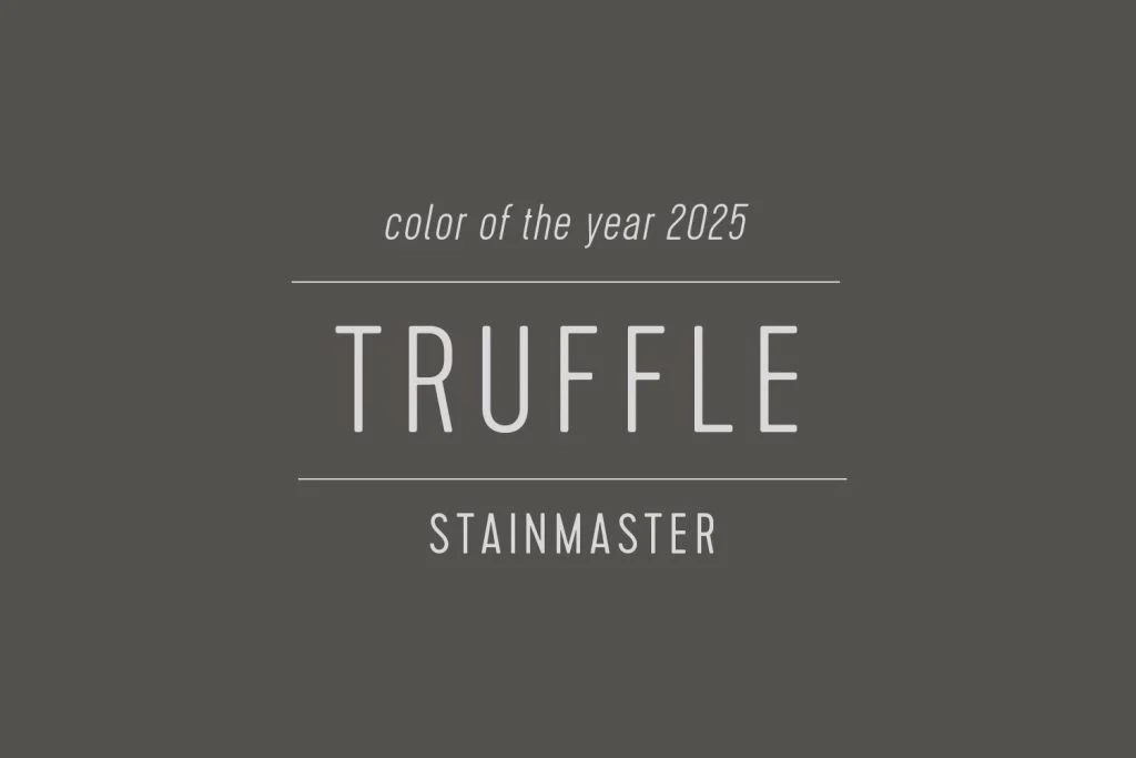 Stainmaster Paint Paint of the Year 2025 Truffle