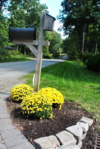 Landscaping Around A Mailbox: a house log