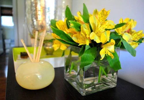A Sunny Bouquet: a house log