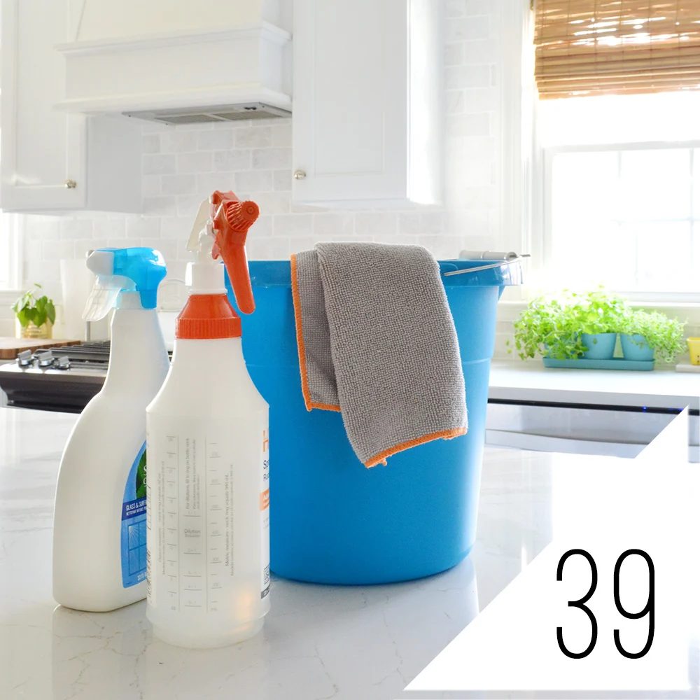 #39: How To Make House Cleaning Suck A Little Less: a house log