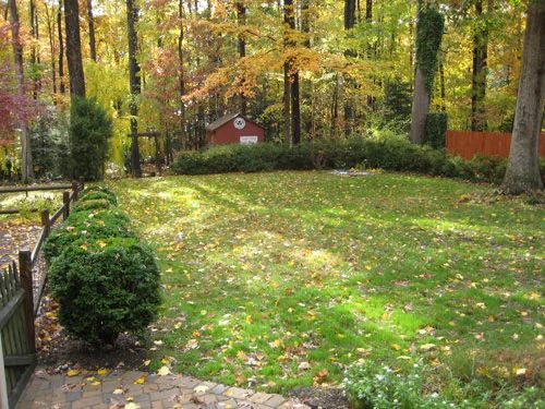 Get Free Landscaping Assist From Craigslist, step by step