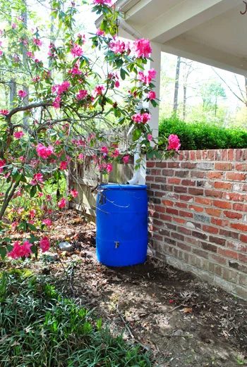 Add A Rain Barrel, step by step