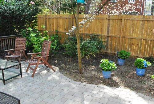 Planting Blue Hydrangeas: a house log