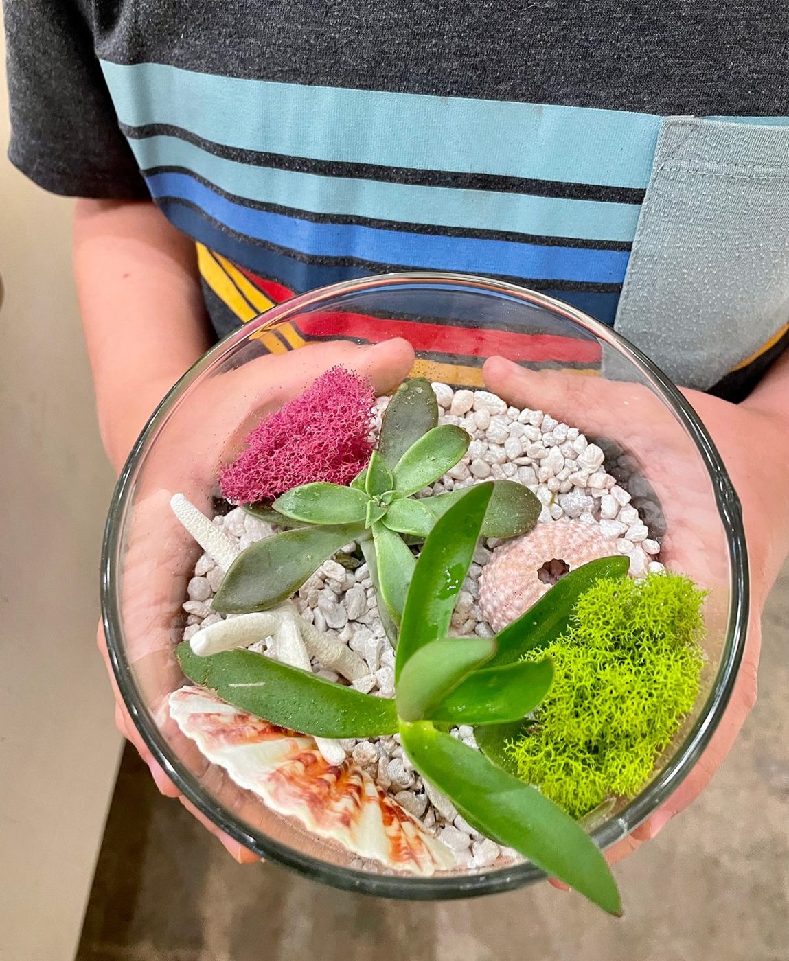 Wrapped up Terrarium Made At Plant House In Charleston South Carolina Mount Pleasant