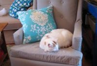 Reupholstering a Secondhand Armchair and Spray-Painting Its Legs
