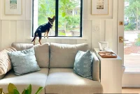 Meet Penny Petersik: Designer, Author, and Home Style Expert