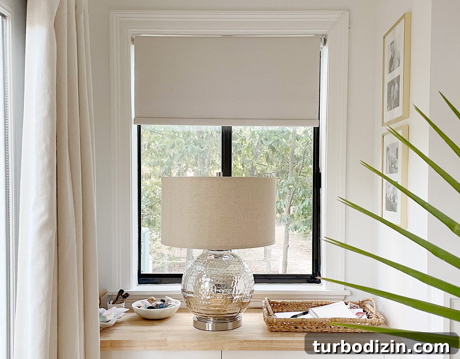 featured 101936