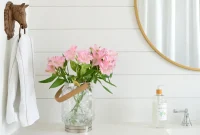 Sherwin-Williams Extra White (SW 7006) Paint Review and Tips