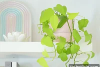 Neon Pothos Care Guide: Tips for Thriving Bright-Leaf Vines