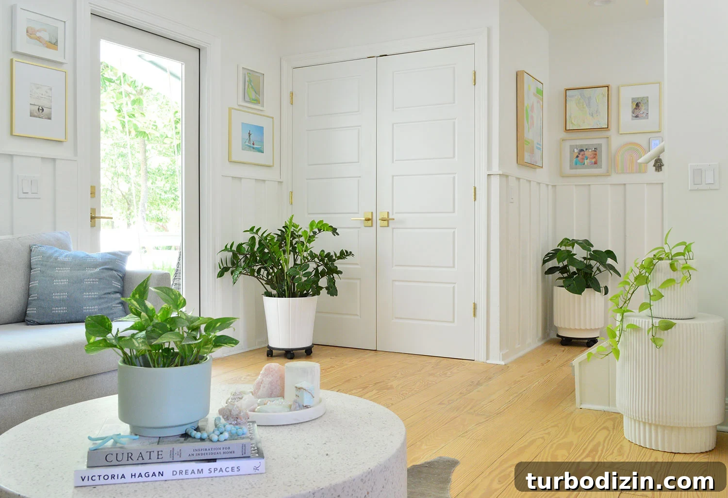 featured 114529