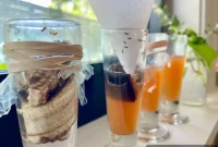 Get Rid of Fruit Flies Fast Using Items You Already Have at Home