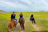 South Dakota Summer Road Trip: Top Sights & Itinerary Ideas