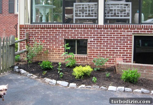 featured 11559