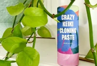 Keiki Paste: What It Is and How to Use It on Your Plants