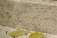 Natural Home Remedies to Eliminate Ants Quickly and Safely