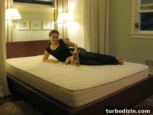 featured 13036
