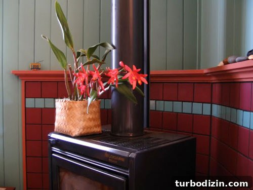 featured 15773