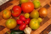 Make-Your-Own Salsa Kit: Fresh, Customizable Salsa at Home